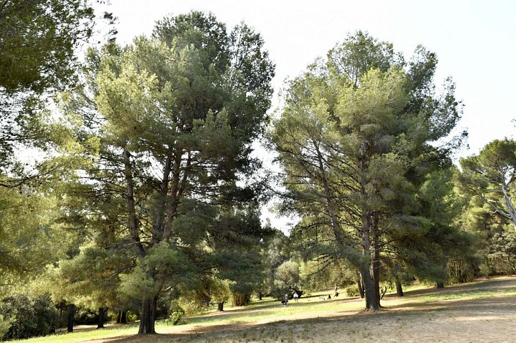 Parc de la Colline Saint-Joseph