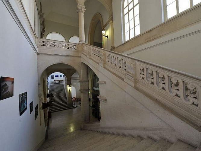 Muséum d'Histoire Naturelle de Marseille (MHNM)