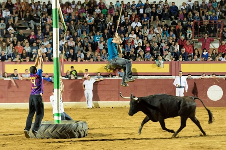 jeu balançoire.jpgweb