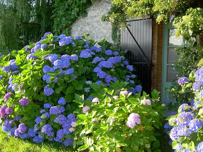 CHAMBRES D'HÔTES " L'HORTENSIA BLEU"