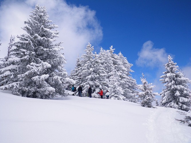 Lever de soleil au sommet - balade collective à raquette