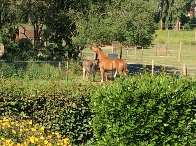 GITE L'AIR DE VENDEE