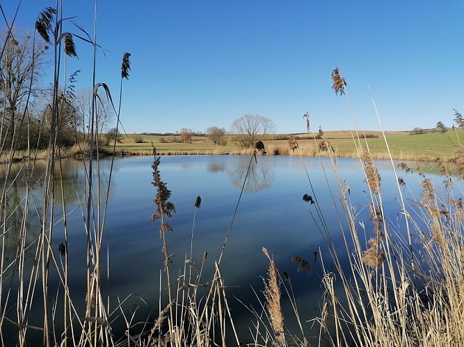 Marais de Vittoncourt