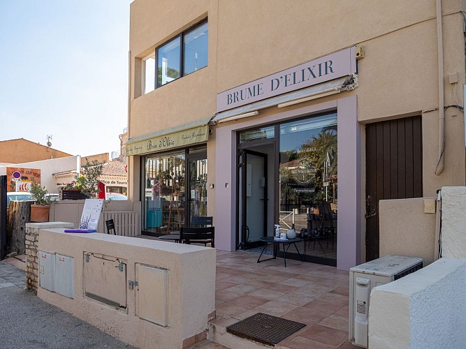 Эликсир тумана