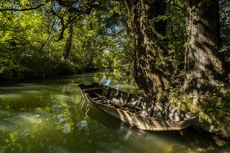 Canoeing and kayaking on the Rhône river