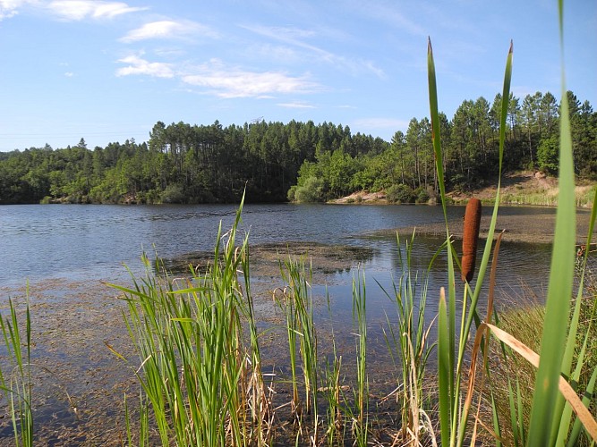 Sentier botanique du lac du Rioutard