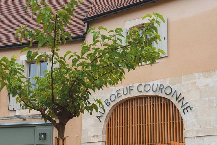 FB_IMG_1756472739539