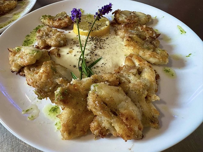 506938630_122139746900767512_7274833315030437191_n