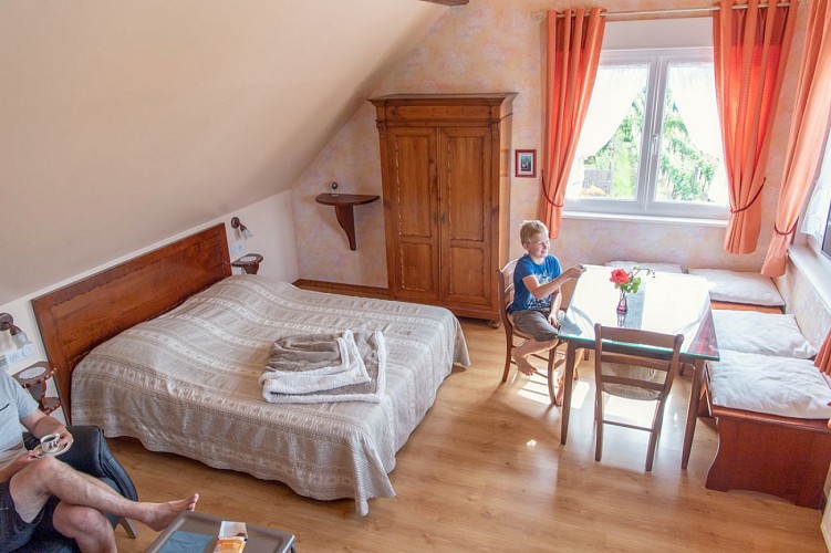 Gîte Rose des Vignes - Vigne