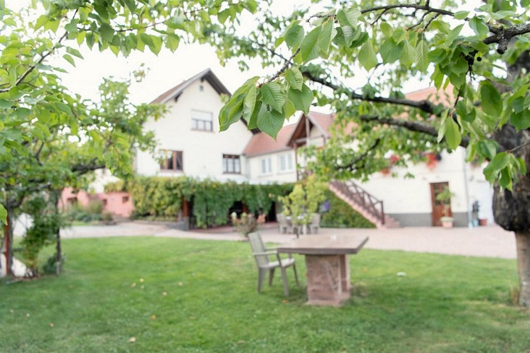 Gîte Rose des Vignes - Vigne