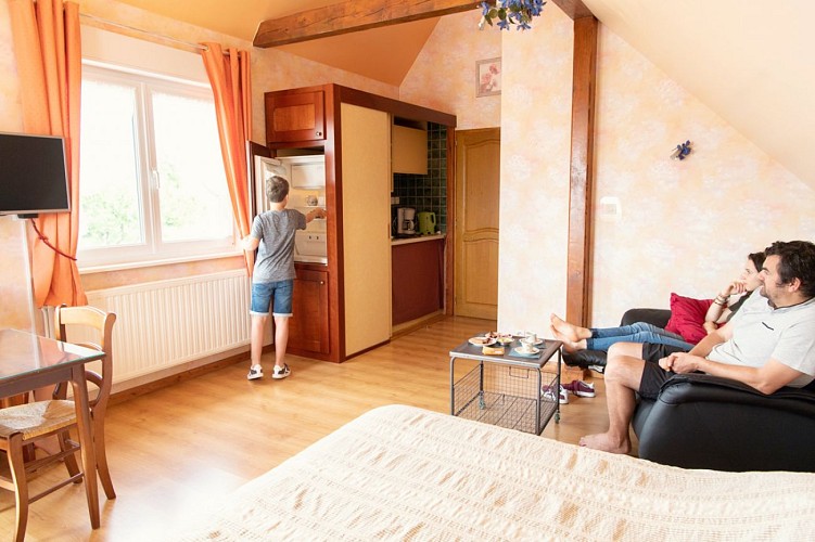 Gîte Rose des Vignes - Vigne