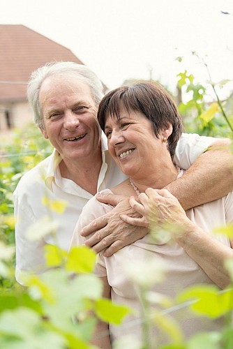 Gîte Rose des Vignes - Vigne