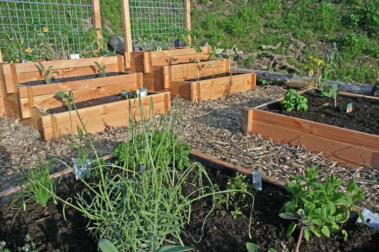 La Table des Dames par La Croix de Savoie