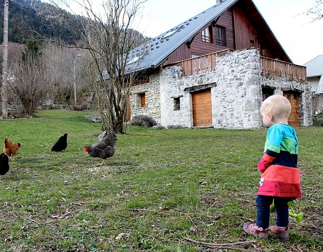 Maison Glaces & Cows