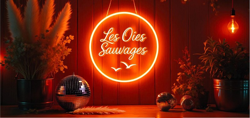 Les oies sauvages