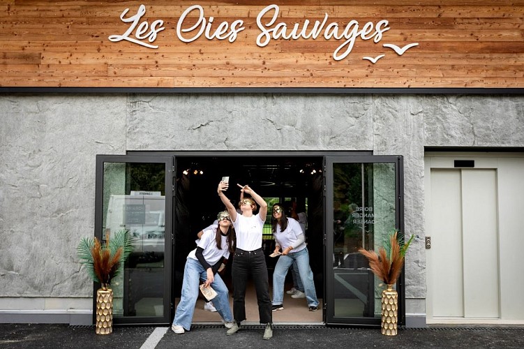 Les oies sauvages
