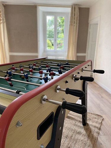 DOMAINE DE LEON  (11)