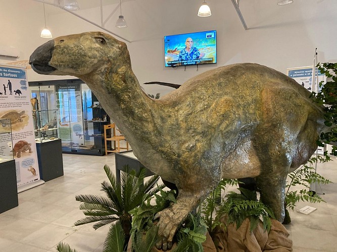 Exposition permanente sur les dinosaures
