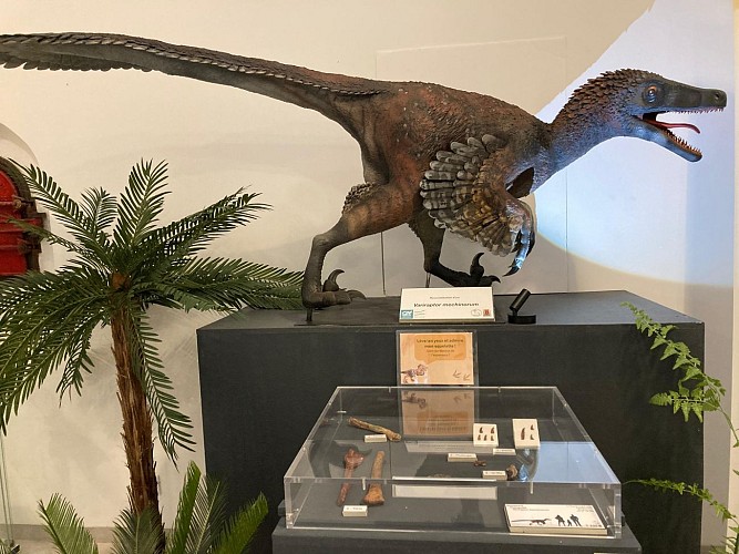 DinoFox Museo : musée des dinosaures