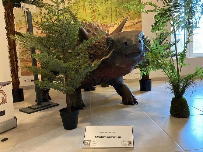 DinoFox Museo : musée des dinosaures