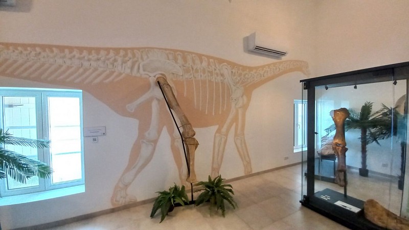 DinoFox Museo : musée des dinosaures