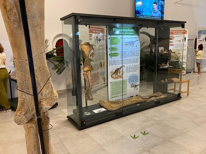 DinoFox Museo : musée des dinosaures