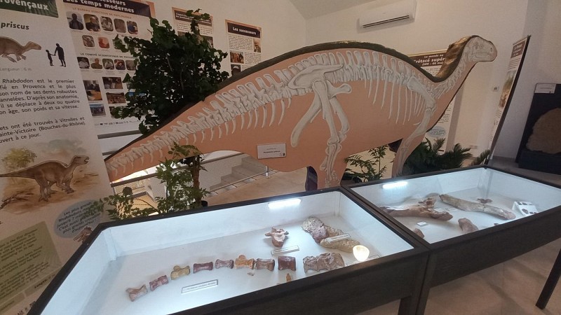 DinoFox Museo : musée des dinosaures