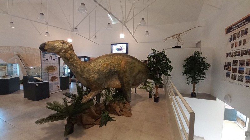 Exposition permanente sur les dinosaures