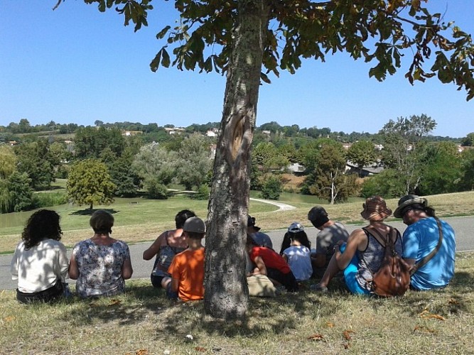 Plan d'eau et île de Gauge