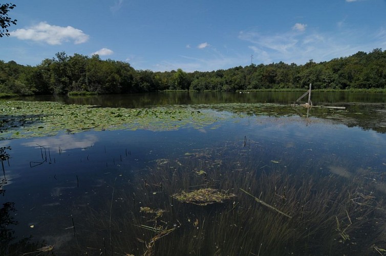 Espace Naturel Sensible de la Save : étang de Roche Plage et communaux de Thuile