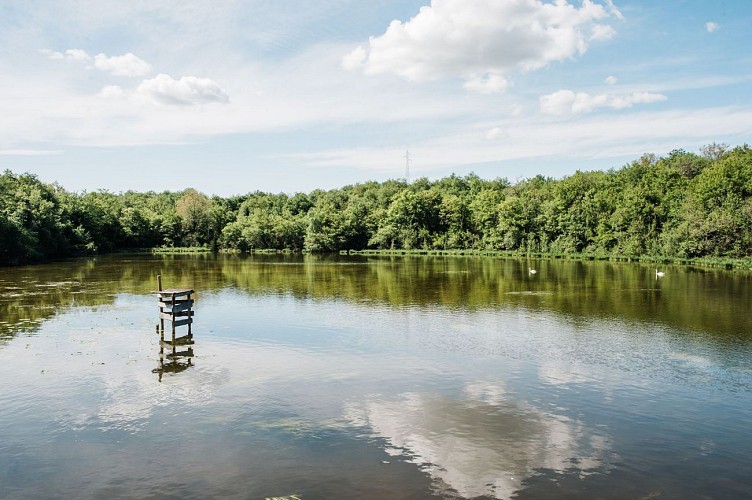 Espace Naturel Sensible de la Save : étang de Roche Plage et communaux de Thuile