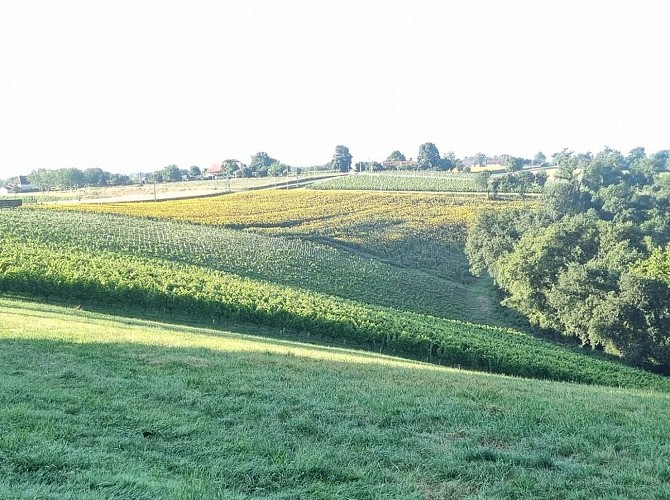 Aydie - Gîte d'Oihana @ LANNUX (5)