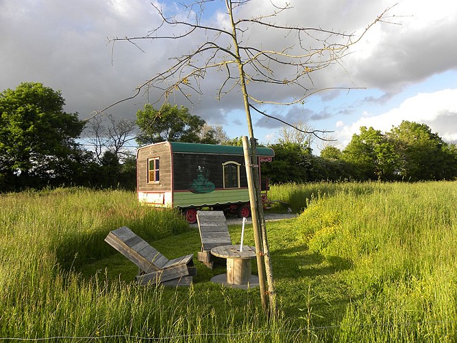 À L'Orée des Chênes - Roulotte Grenouille
