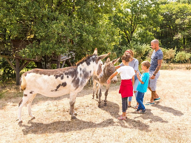 A L'ORÉE DES CHENES - LA PYRAMIDE HOME