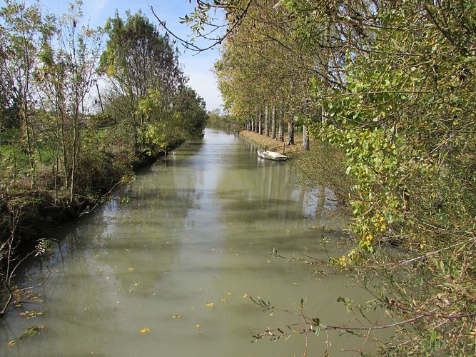 Gîte au Bas Marais Tournesol