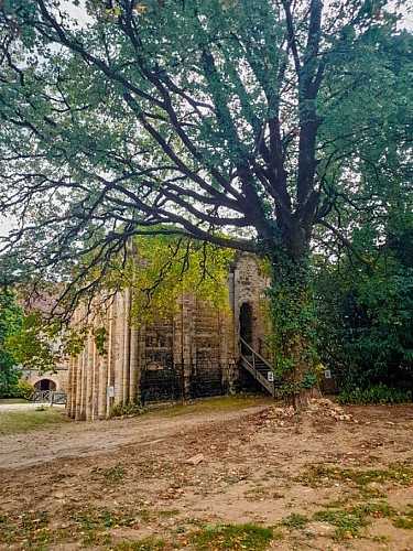Abbaye Carolingienne Notre Dame et Saint Benoît
