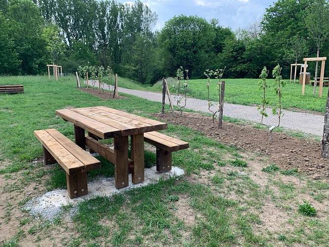 Bords de Loire - Espace naturel des Lonzes