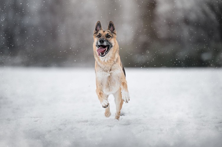 Dorine Routier Photographie