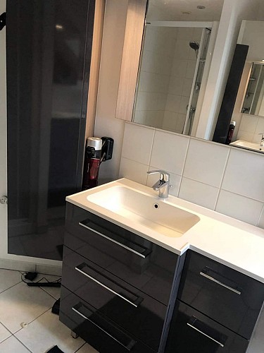 Meublé Le Nid Douillet - Douillet-le-Joly - salle de douche 2