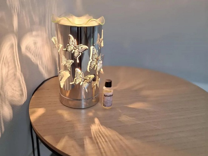 gite-ressources-la-frenaye-meuble-13