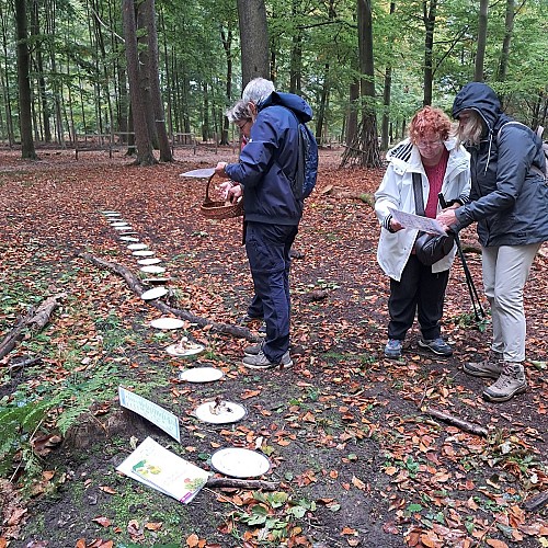 565374665_122174461646479722_7927027587508228116_n