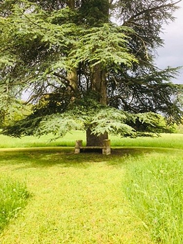 Château et parc de la Varenne