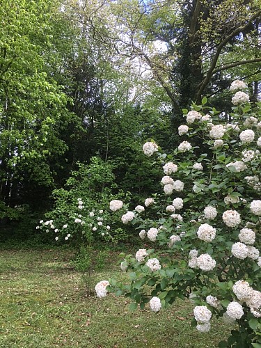 Château et parc de la Varenne