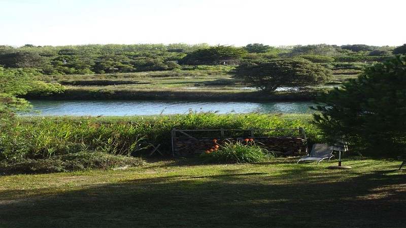 Maison Mme Wolf Angela - Dune