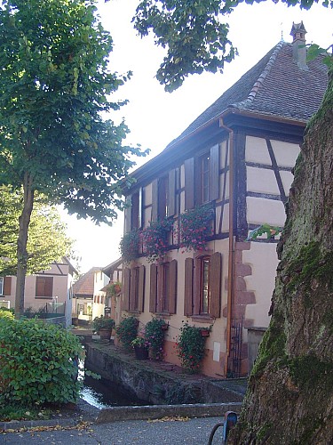 Camping at the farm M. Bimboes