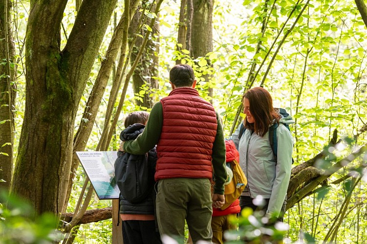 Naturbeobachtungszentrum auf der Île du Beurre