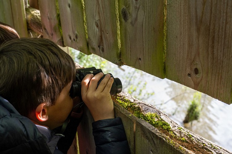 Île du Beurre nature observation centre