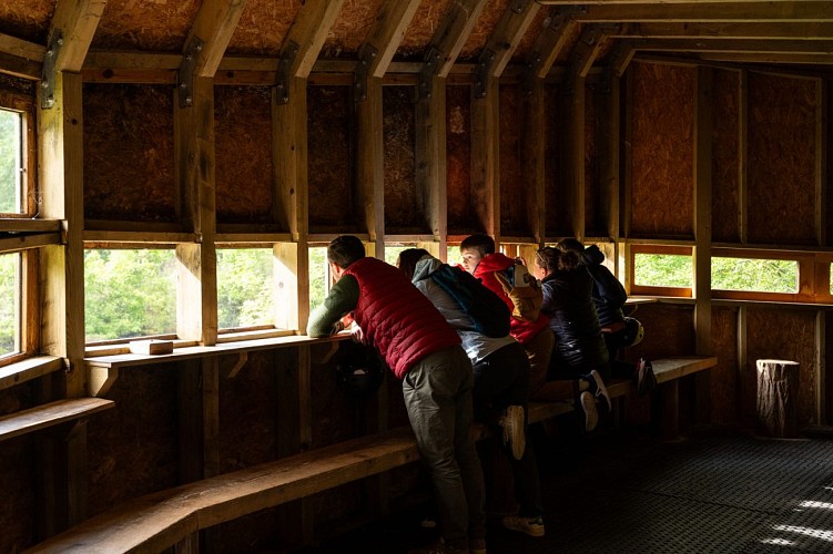 Île du Beurre nature observation centre