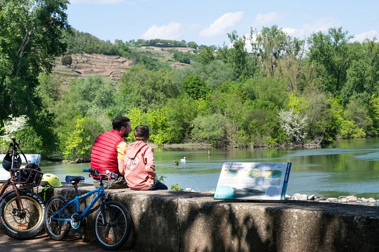 Île du Beurre nature observation centre