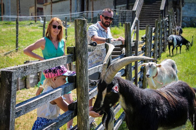 Ferme de la hardonnerie